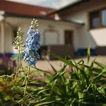 U Draba: Na Slovacku V Miloticich U Kyjova Milotice