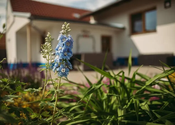 U Draba: Na Slovacku V Miloticich U Kyjova Milotice